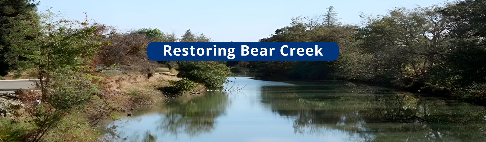 Restoring Bear Creek