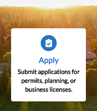 Civic Access